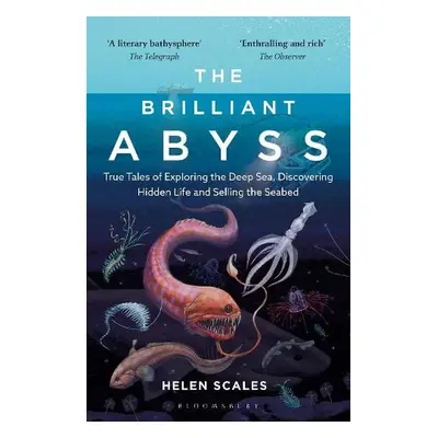 Brilliant Abyss - Scales, Helen