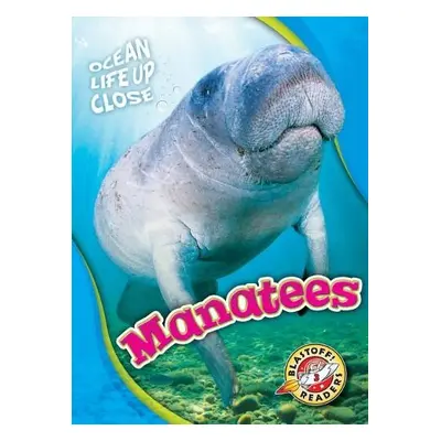 Manatees - Pettiford, Rebecca