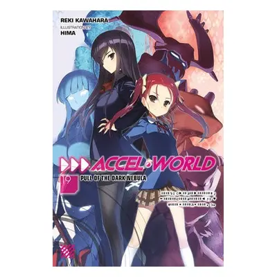 Accel World, Vol. 19 (light novel) - Kawahara, Reki