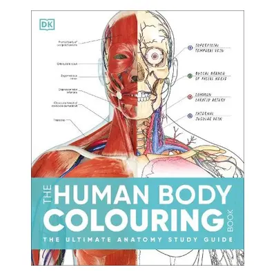 Human Body Colouring Book - DK