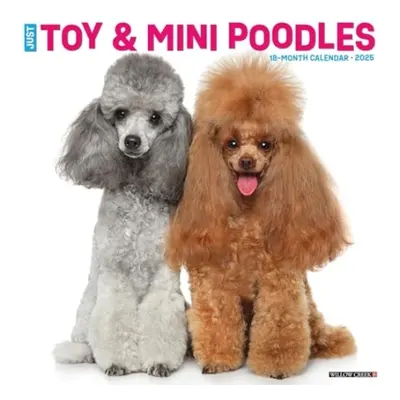 Just Toy a Miniature Poodles 2025 12 X 12 Wall Calendar - Willow Creek Press