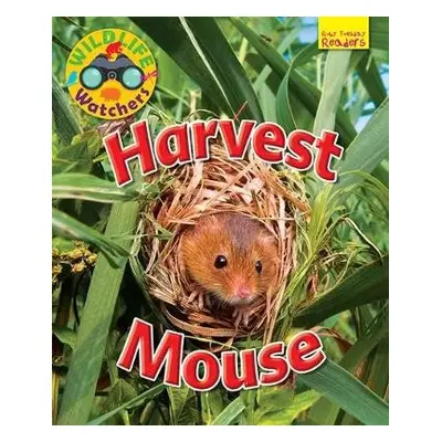 Wildlife Watchers: Harvest Mouse - Owen, Ruth