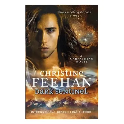 Dark Sentinel - Feehan, Christine