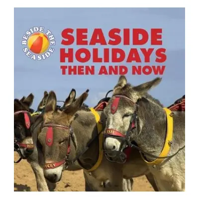 Beside the Seaside: Seaside Holidays Then and Now - Hibbert, Clare