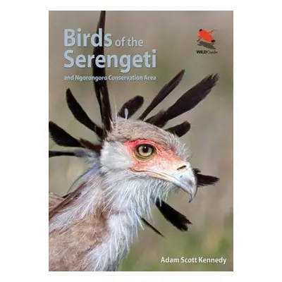 Birds of the Serengeti - Kennedy, Adam Scott