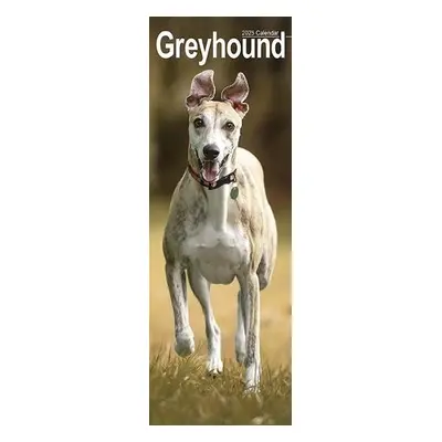 Greyhound Slim Calendar 2025 Dog Breed Slimline Calendar - 12 Month