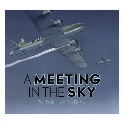 Meeting in the Sky - Singh, Rina