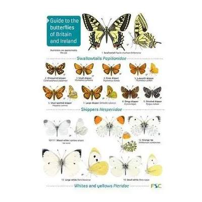 Guide to the butterflies of Britain and Ireland - Bebbington, John