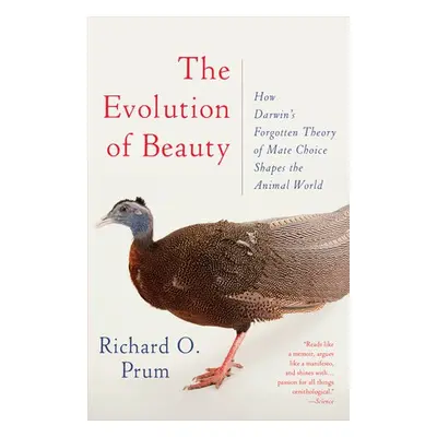 Evolution of Beauty - Prum, Richard O.