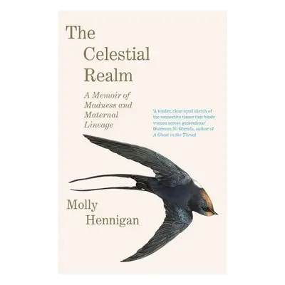 Celestial Realm: SHORTLISTED FOR THE SUNDAY INDEPENDENT NEWCOMER OF THE YEAR IRISH BOOK AWARDS -