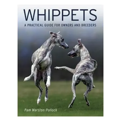 Whippets - Marston-Pollock, Pam