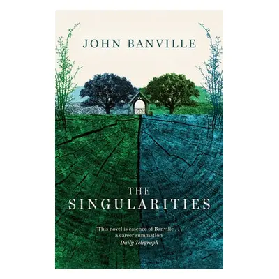 Singularities - Banville, John