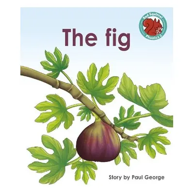 Fig - George, Paul