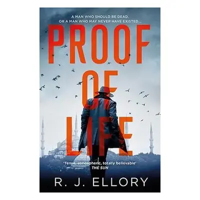 Proof of Life - Ellory, R.J.