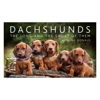 Dachshunds - Donald, Caroline