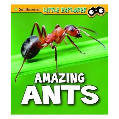 Amazing Ants - Peterson, Megan Cooley