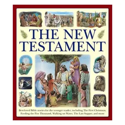 New Testament (giant Size) - Armadillo Books