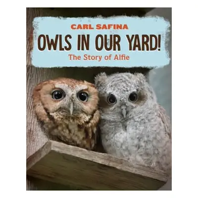 Owls in Our Yard! - Safina, Carl