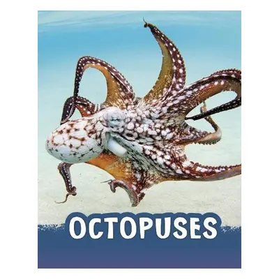 Octopuses - Jaycox, Jaclyn