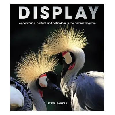 Display - Parker, Steve