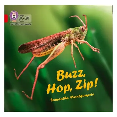 Buzz, Hop, Zip! Big Book - Montgomerie, Samantha