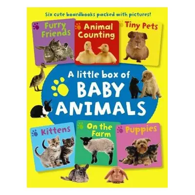 Little Box of Baby Animals - Press Armadillo