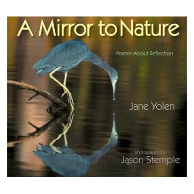 Mirror to Nature, A - Yolen, Jane