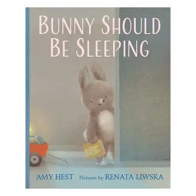 Bunny Should Be Sleeping - Hest, Amy