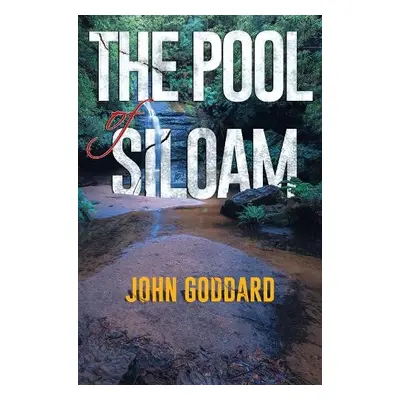 Pool of Siloam - Goddard, John