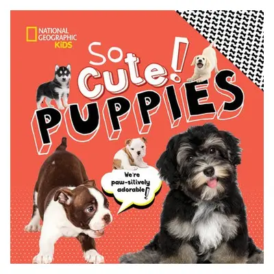 So Cute! Puppies - National Geographic Kids