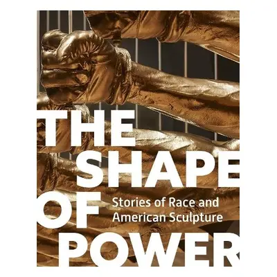 Shape of Power - Lemmey, Karen a Wofford, Tobias a Yasumura, Grace