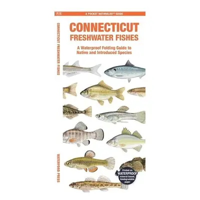 Connecticut Freshwater Fishes - Morris, Matthew, Waterford Press