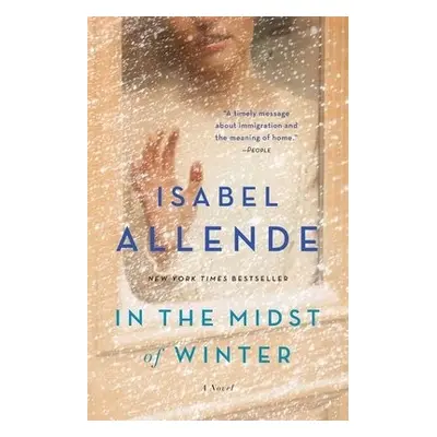 In the Midst of Winter - Allende, Isabel