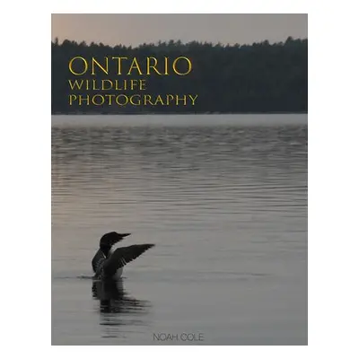 Ontario Wildlife Photography - Cole, Noah