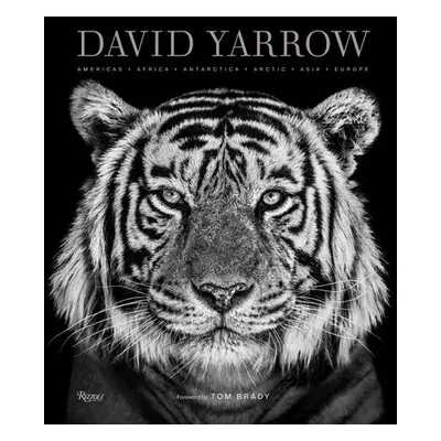 David Yarrow Photography - Yarrow, David a Brady, Tom