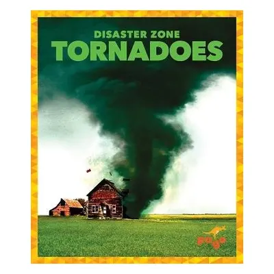 Tornadoes - Meister, Cari