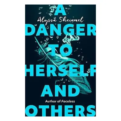 Danger to Herself and Others - Sheinmel, Alyssa