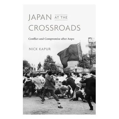 Japan at the Crossroads - Kapur, Nick