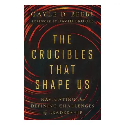 Crucibles That Shape Us - Beebe, Gayle D.