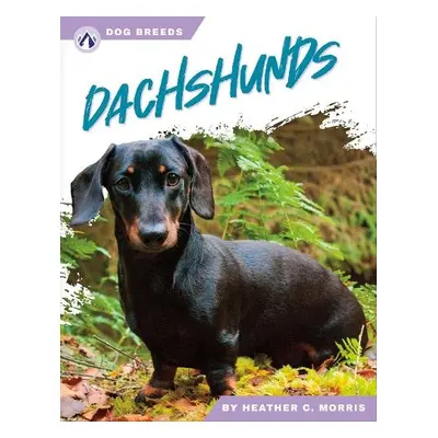 Dachshunds - Morris, Heather C.