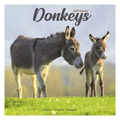 Donkeys Calendar 2025 Square Animal Wall Calendar - 16 Month