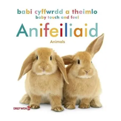 Babi Cyffwrdd a Theimlo: Anifeiliaid / Baby Touch and Feel: Animals - Wen, Dref