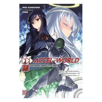 Accel World, Vol. 22 - Kawahara, Reki