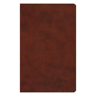 ESV Large Print Value Thinline Bible