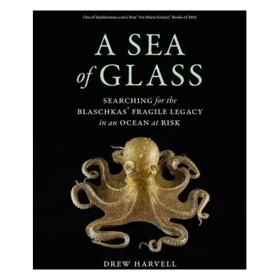 Sea of Glass - Harvell, Drew