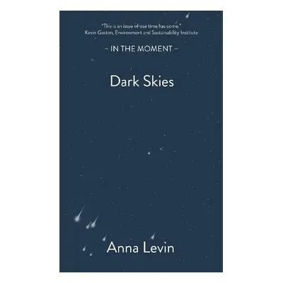 Dark Skies - Levin, Anna