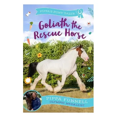 Goliath the Rescue Horse - Funnell, Pippa