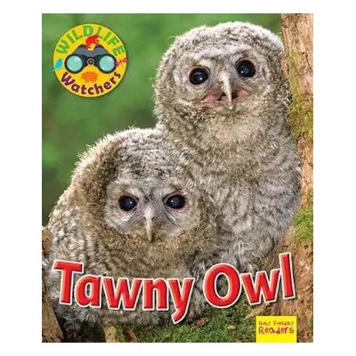 Wildlife Watchers: Tawny Owl - Owen, Ruth