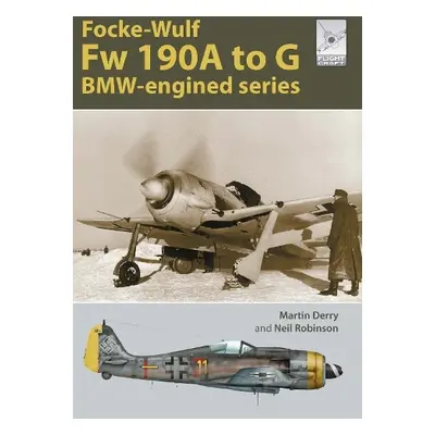 Flight Craft Special 2: The Focke-Wulf Fw 190 - Derry, Martin a Robinson, Neil