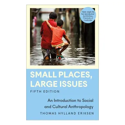 Small Places, Large Issues - Eriksen, Thomas Hylland